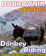Donkey Riding Adventure